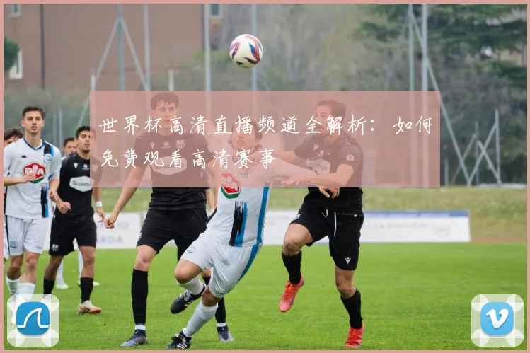 世界杯高清直播频道全解析：如何免费观看高清赛事